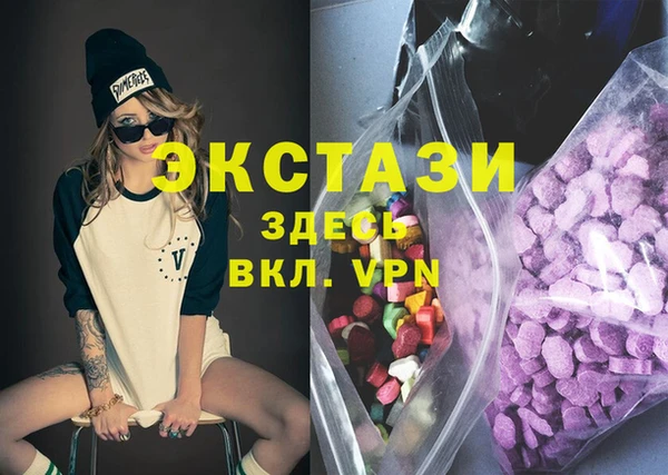 СК Алексин